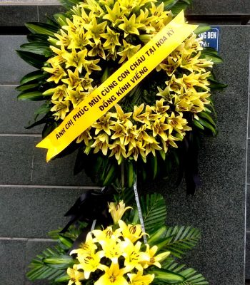 Hoa tang xa mãi